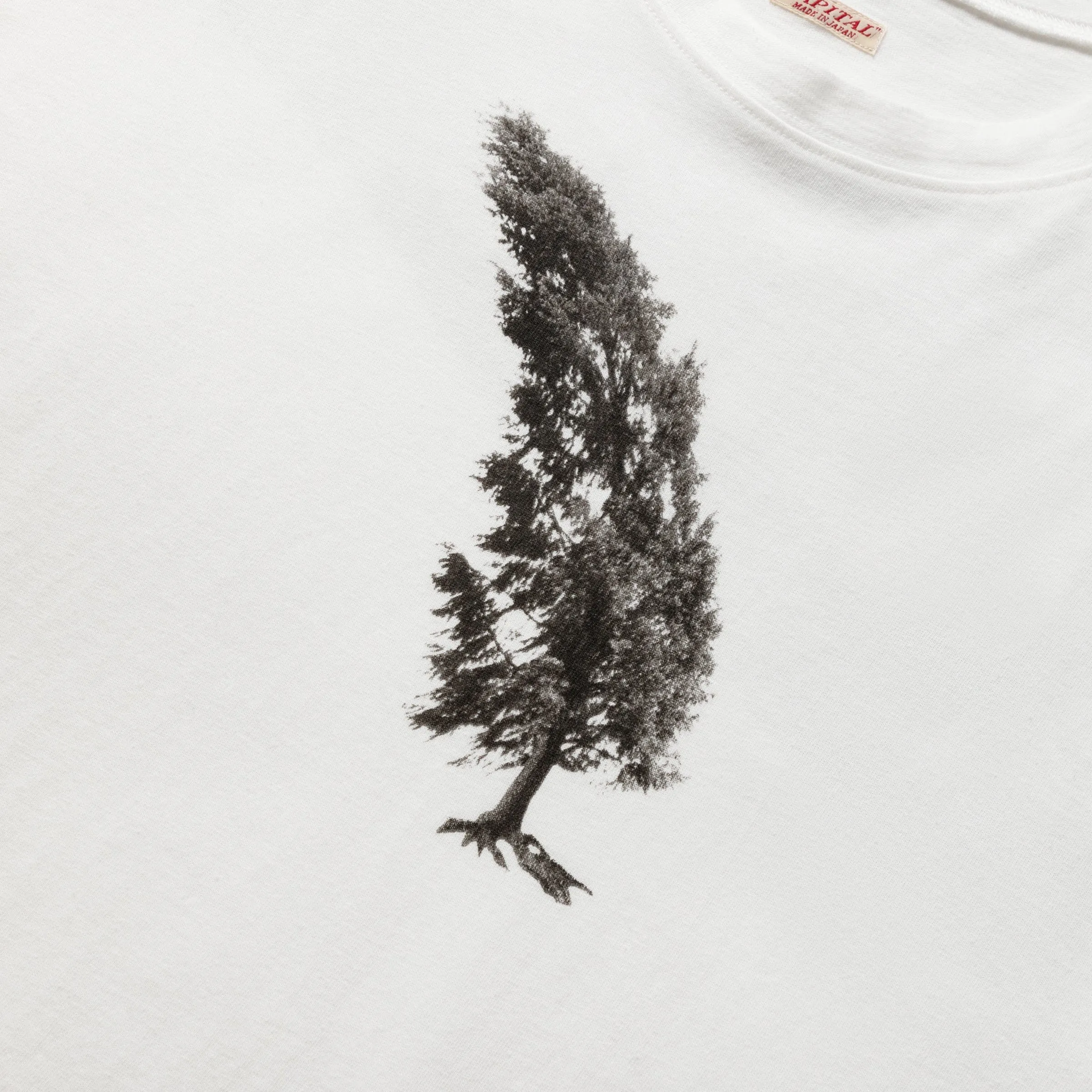 20/-JERSEY CREW T (CONIFER & G.G.G.)