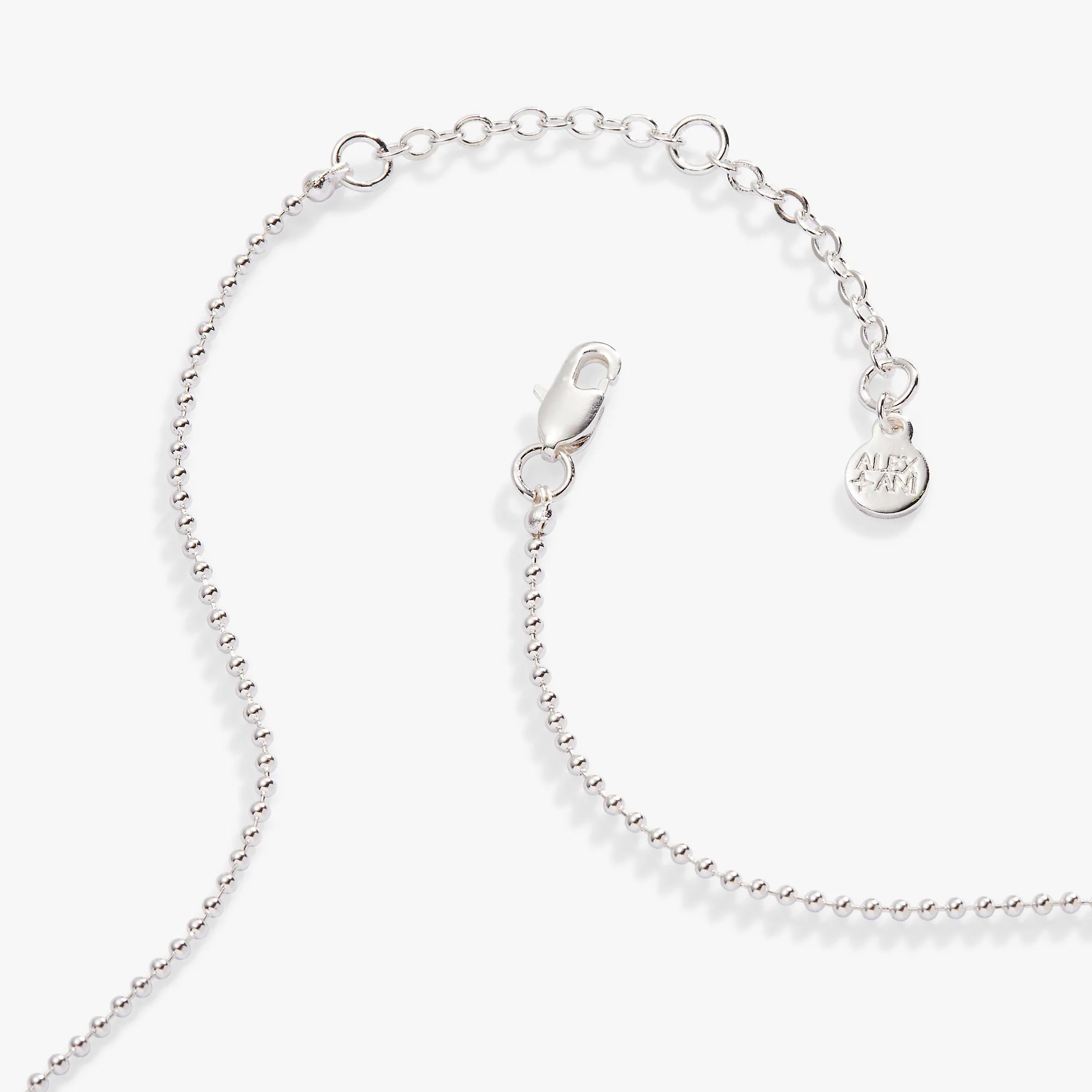 Aries Zodiac Double-Sided Charm Necklace,