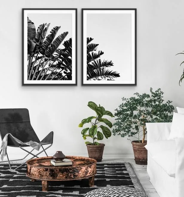 Black and White Banana Palm - Two Piece Boho Banana Palm Print Set