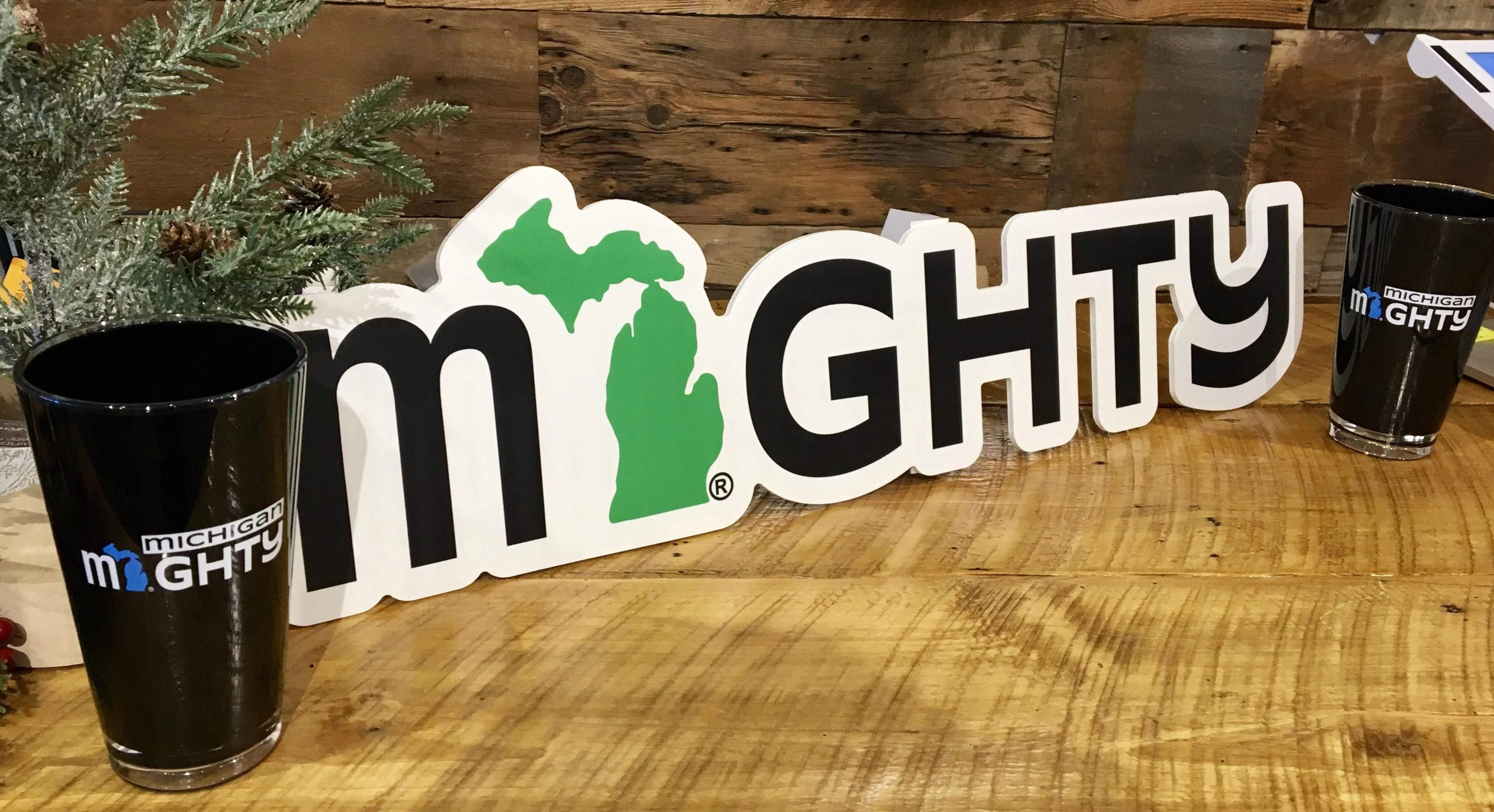 Michigan MIGHTY 20 oz. Acrylic Pints - Set of 2