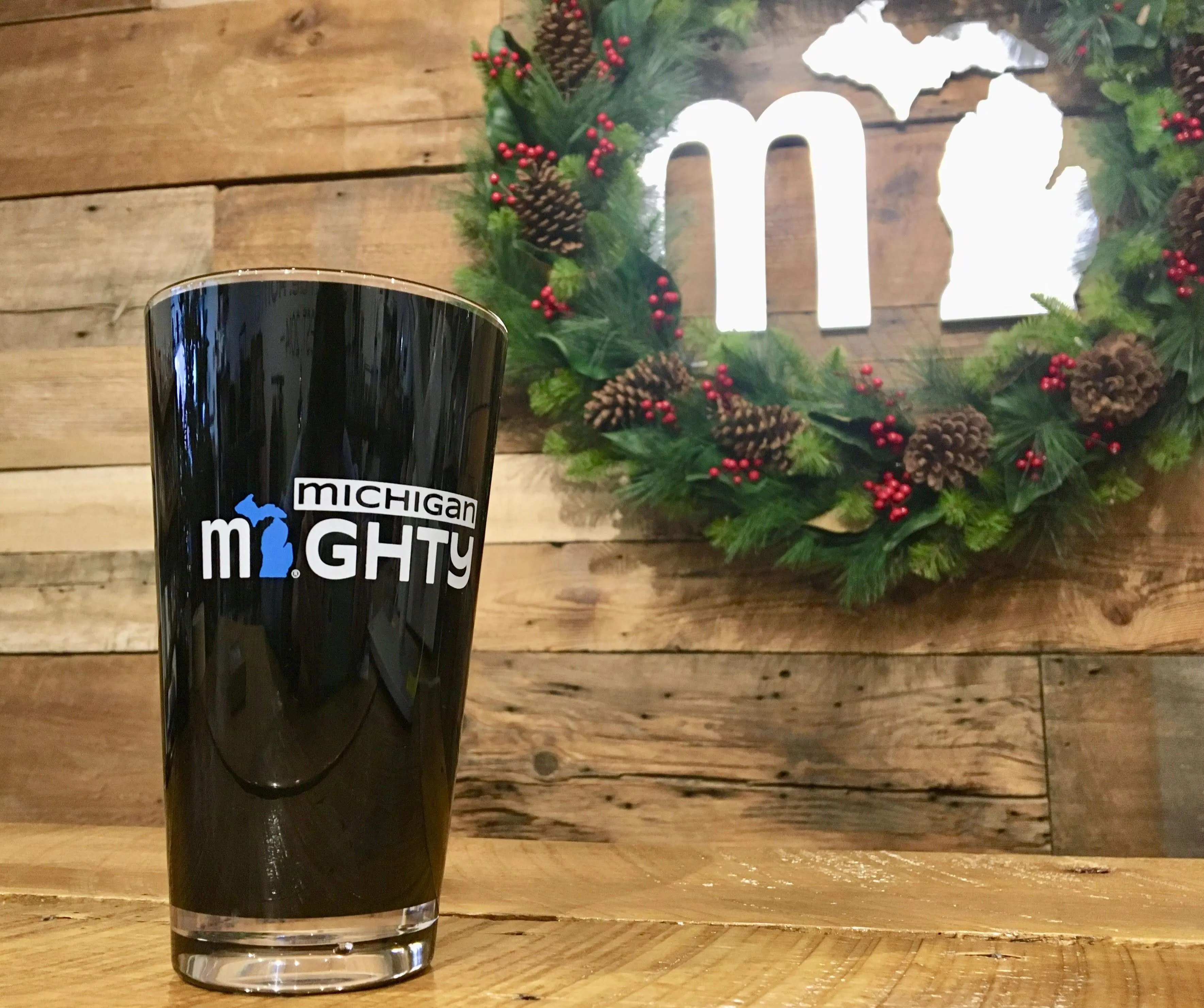 Michigan MIGHTY 20 oz. Acrylic Pints - Set of 2