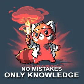 No Mistakes, Only Knowledge